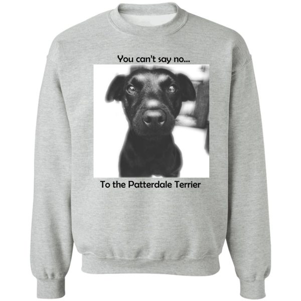 patterdale terrier - cant say sweatshirt