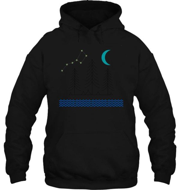 pines against the night sky hoodie