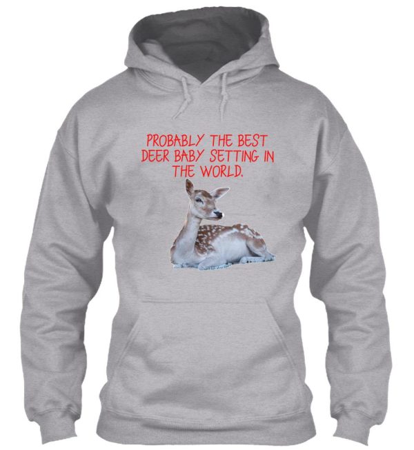 probably the best deer baby setting in the world. hoodie