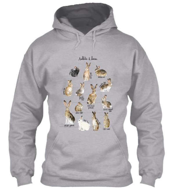 rabbits & hares hoodie