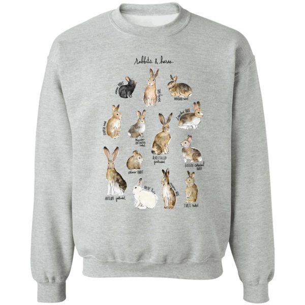 rabbits & hares sweatshirt