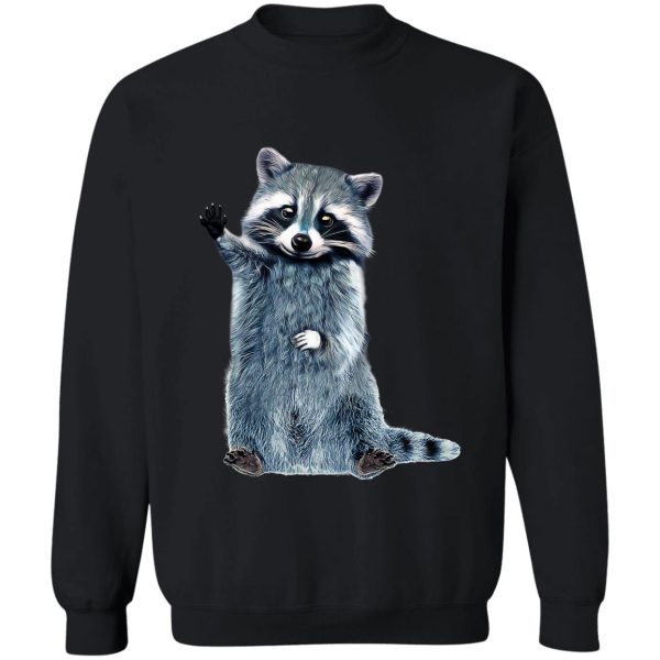 raccoon cute girls raccoon shirt ladies raccoon shirt trash panda sweatshirt