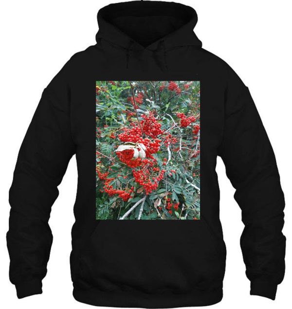 red berry bush hoodie