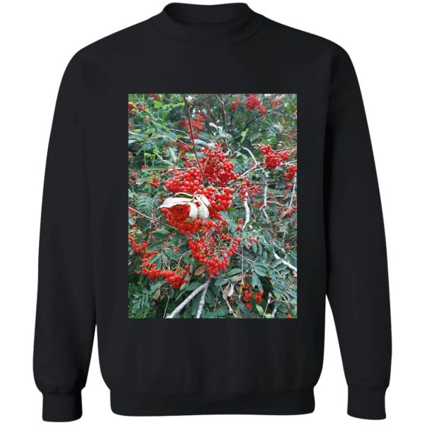 red berry bush sweatshirt