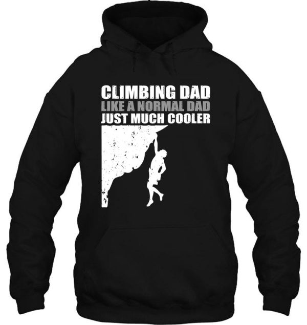 rock climbing dad definition v4 hoodie