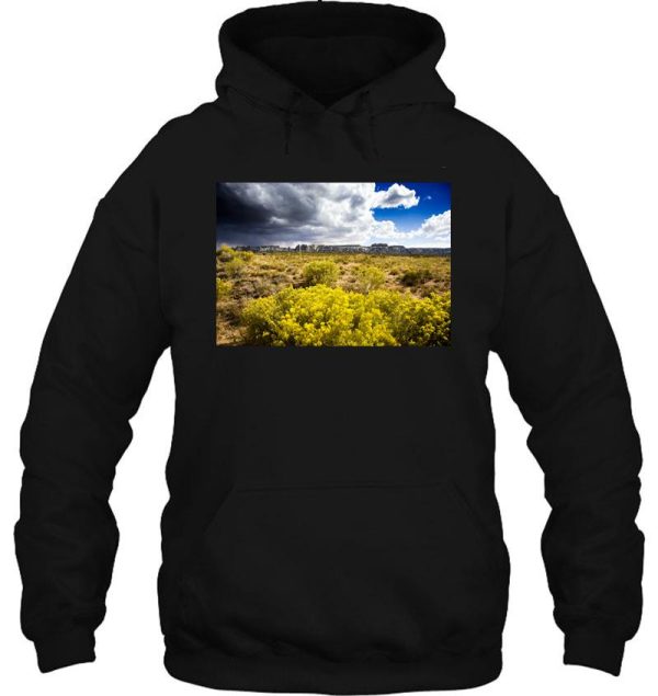 rural colorado hoodie