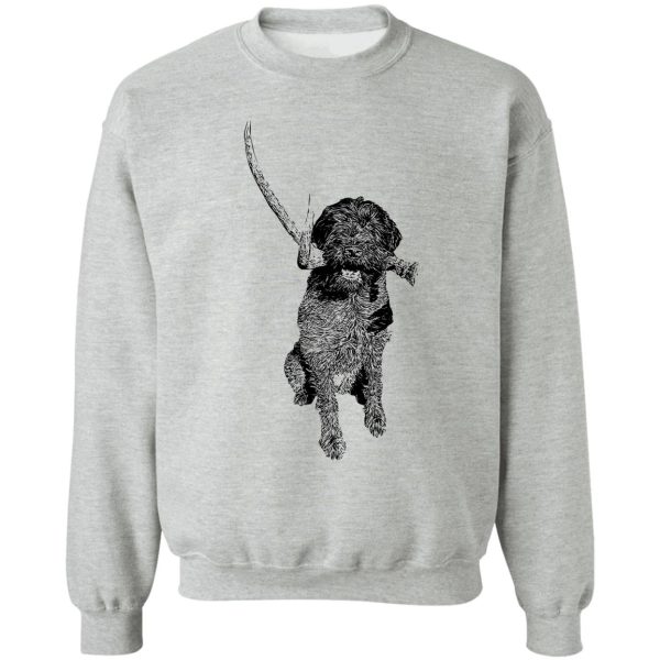 shed hunter - wirehaired pointing griffon sweatshirt