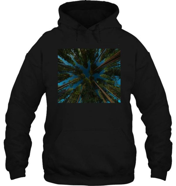 sky tree hoodie