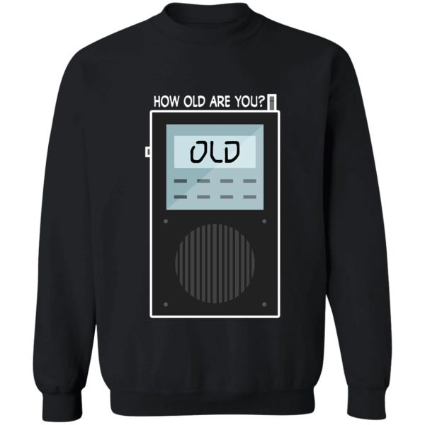 spirit box - old sweatshirt