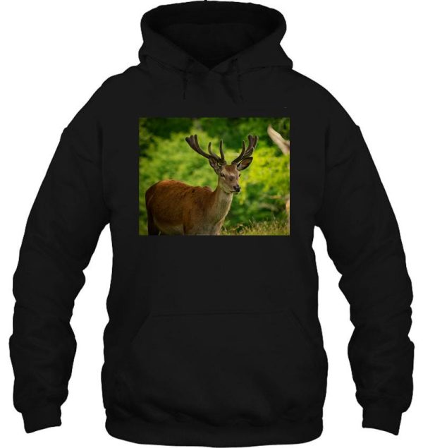 stag 5 hoodie