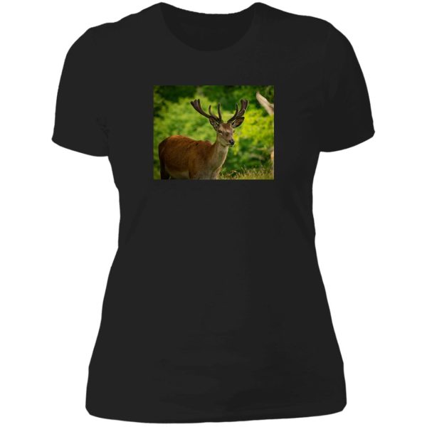 stag 5 lady t-shirt