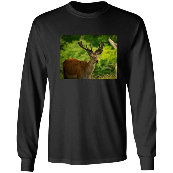 stag 5 long sleeve