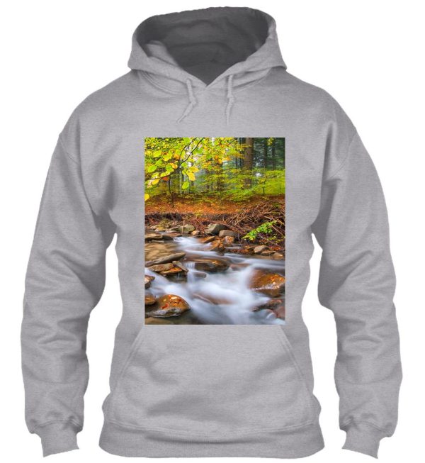 stream hoodie