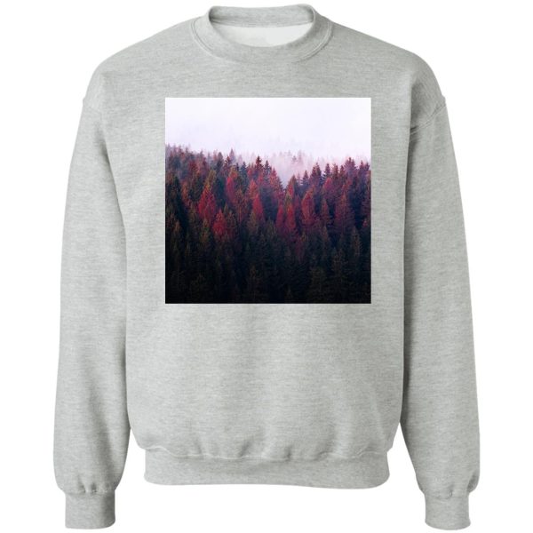 the ridge sweatshirt