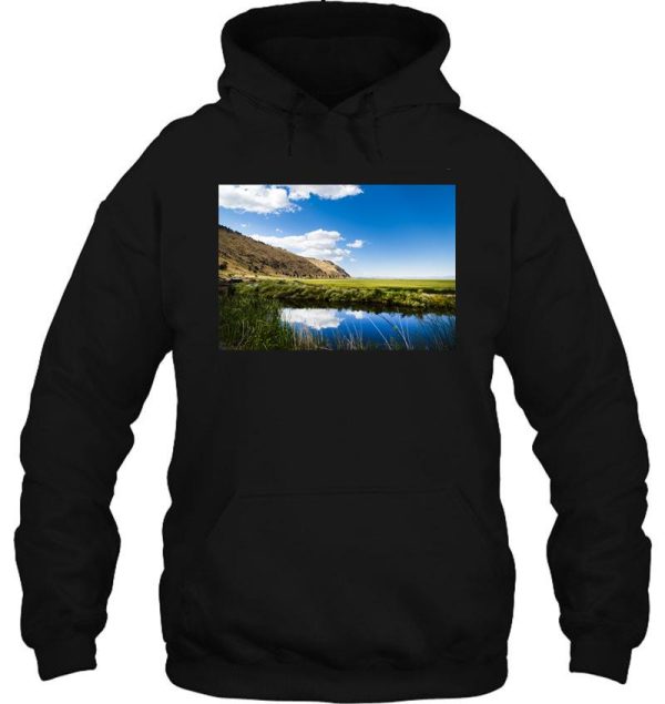 tule lake refuge in california hoodie