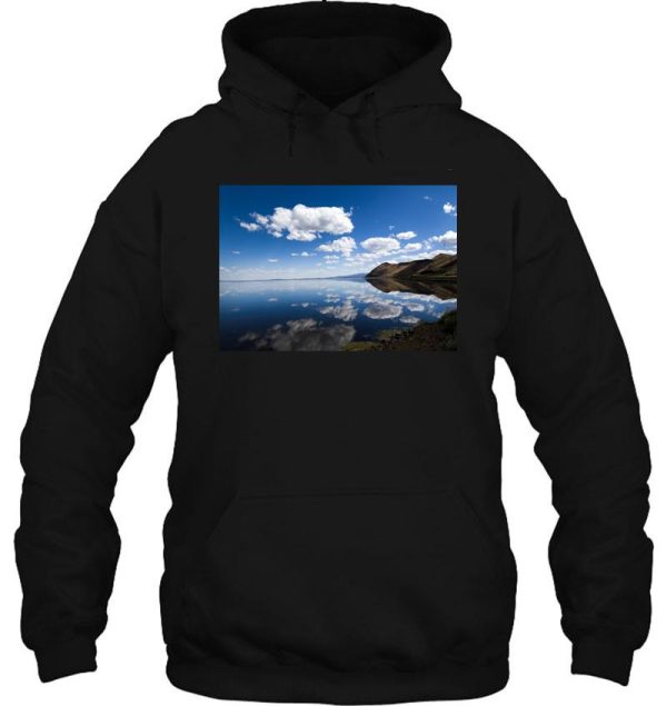 tule lake refuge in california hoodie