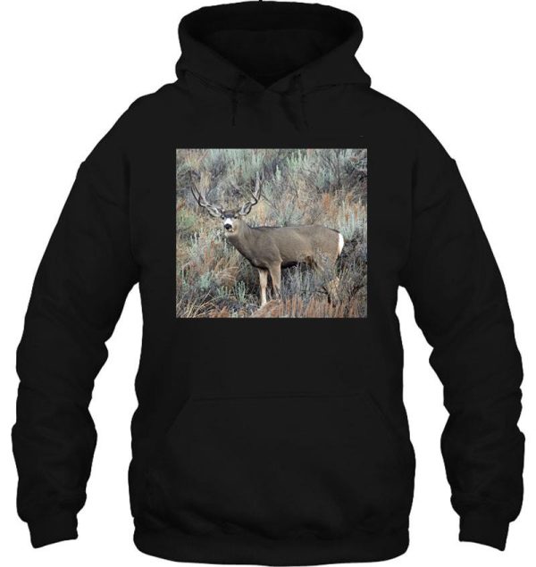utah mule deer buck hoodie