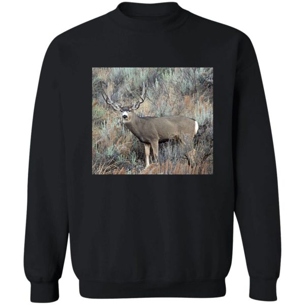 utah mule deer buck sweatshirt