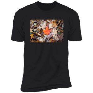 vibrant fall maple leaf shirt