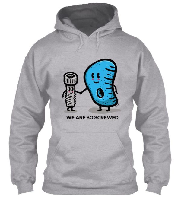 we are so screwed hoodie