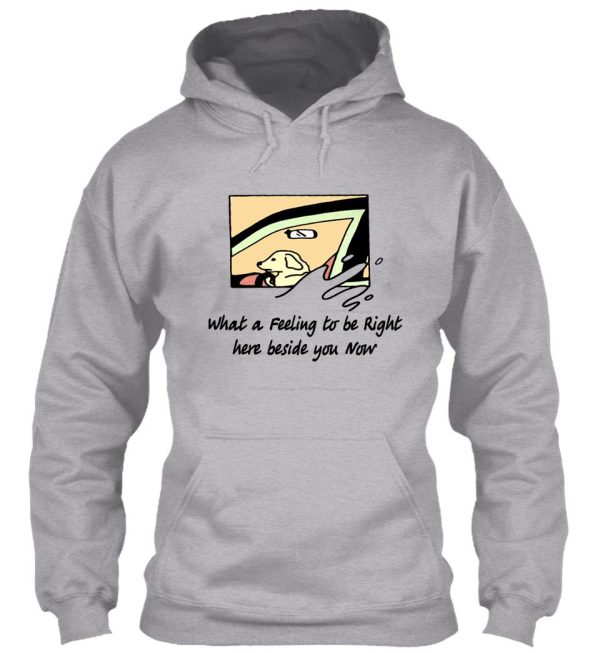 what a feeling dog dad perfect gift hoodie