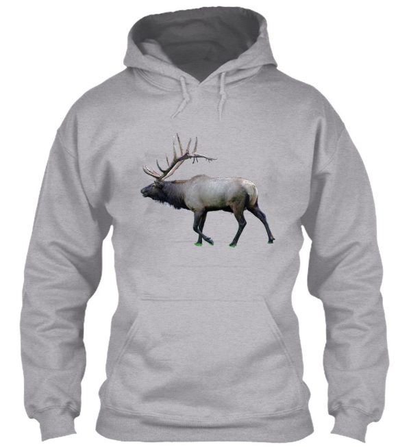 willow wapiti elk hoodie