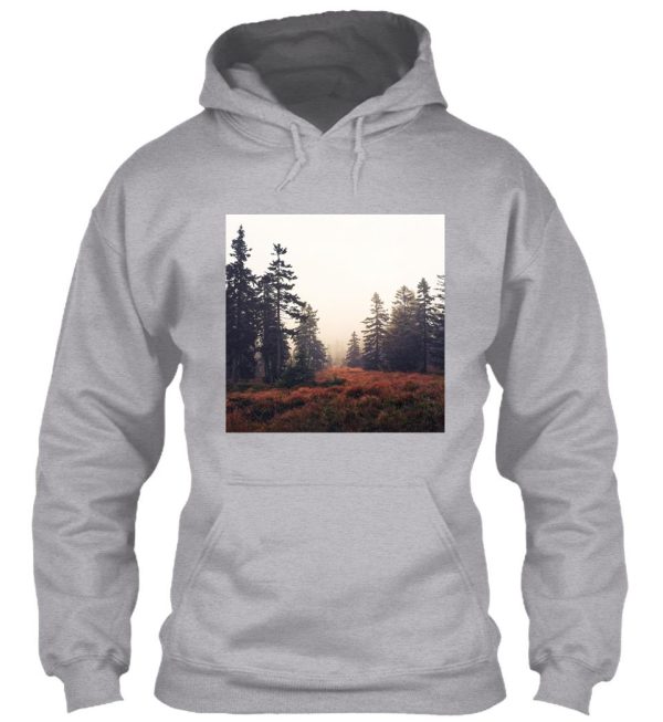 you are here hoodie